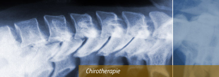 Chirotherapie_Osteopathie